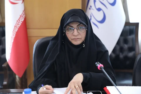چالش‌های جنجالی مصوبه «ستاد ویژه ساماندهی فضای مجازی»