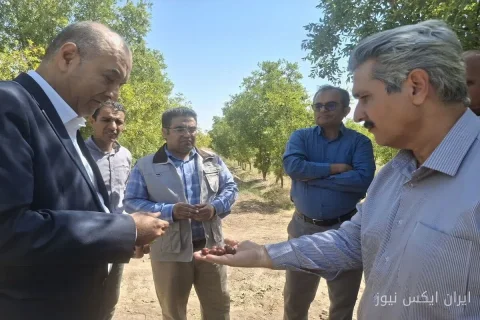 توسعه دانش‌بنیان زرشک و عناب: آینده‌ای روشن در خراسان جنوبی