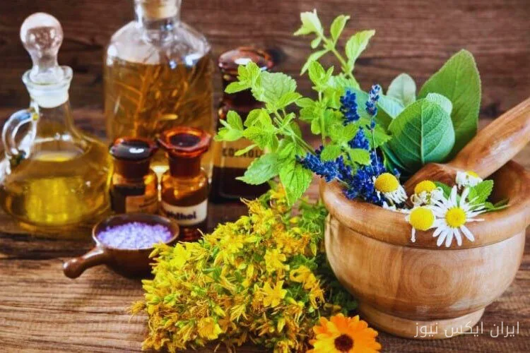 سهم ایران از بازار 120 میلیارد دلاری گیاهان دارویی تنها 0.05 درصد!