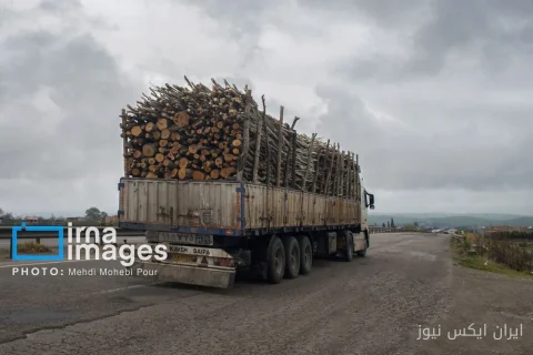 کشف ۱۰ تن چوب جنگلی قاچاق در بهشهر؛ مبارزه‌ای بی‌پایان