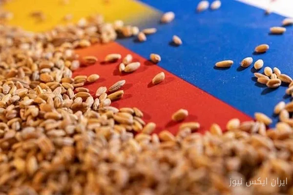 هلدا توتونچی: مصرف ۴ تا ۶ وعده غلات کامل سلامت قلب را بهبود می‌بخشد
