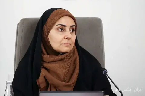 فرزانه صادق: پروازهای خارجی بدون توقف ادامه دارد