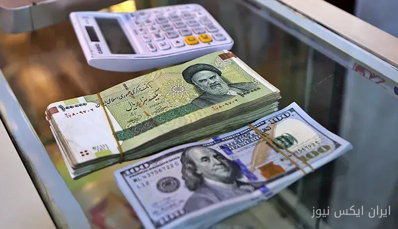 زهرا خدادادی: دولت ساماندهی بازار ارز را عملی کند