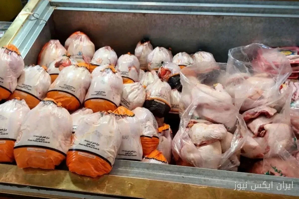 خراسان‌جنوبی در مسیر تولید گوشت مرغ؛ ۱۶۱ تن در روز!