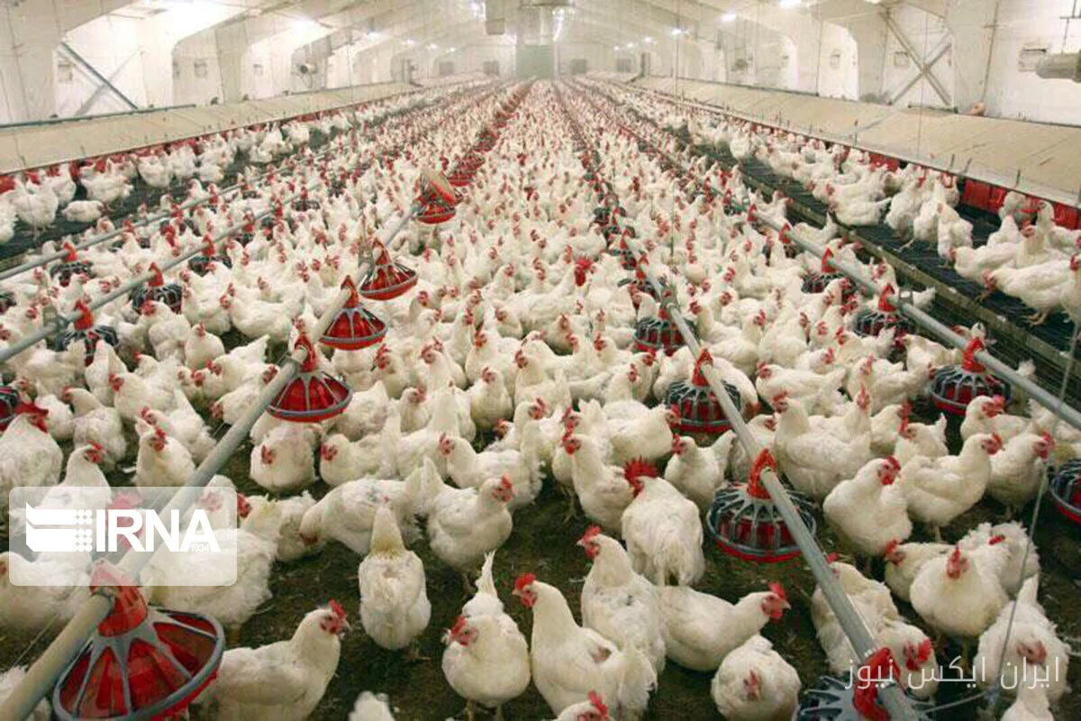 10 trillion rials in credit for the sustainability of agricultural production in North Khorasan