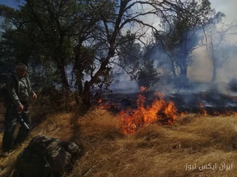 آتش‌سوزی ساحل روستای رشکان تحت کنترل پارک ملی دریاچه ارومیه