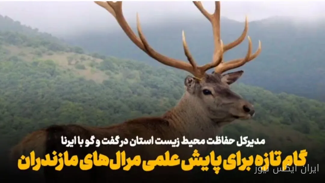 محمدرضا کنعانی از سرشماری علمی مرال‌ها در مازندران خبر داد