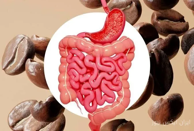 قهوه بر خلقوخو و عملکرد مغز تاثیر دارد