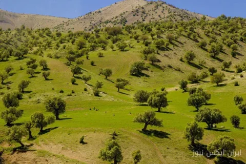 فرماندار ایلام: توسعه زیرساخت‌های گردشگری در جعفرآباد آغاز شد