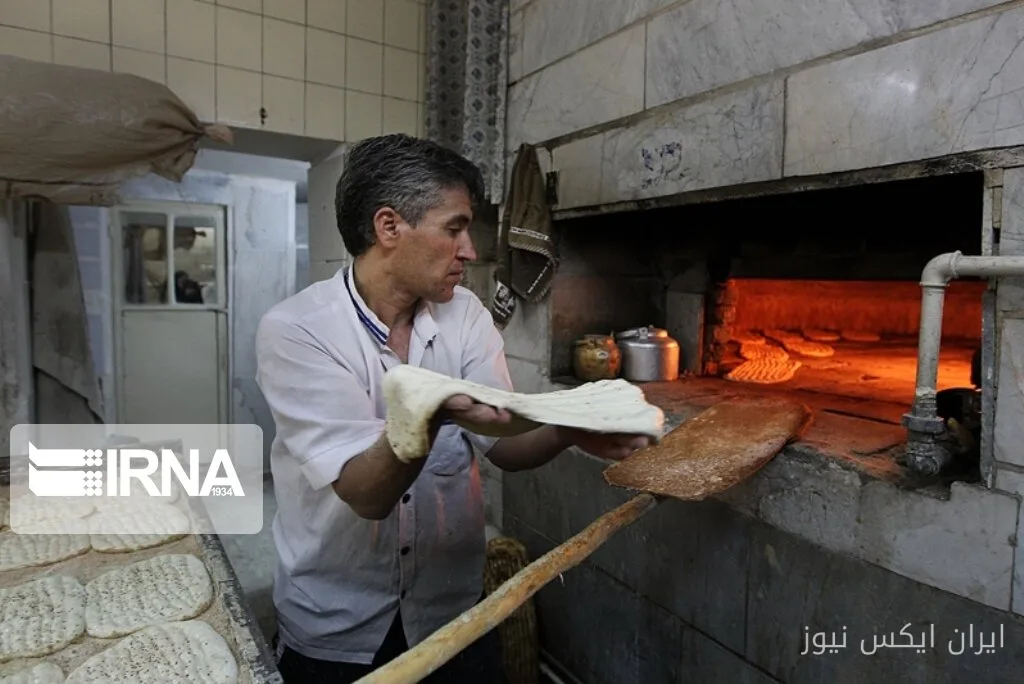معاون استاندار: وضعیت سوخت جایگزین نانوایی‌های گلستان راستی‌آزمایی می‌شود