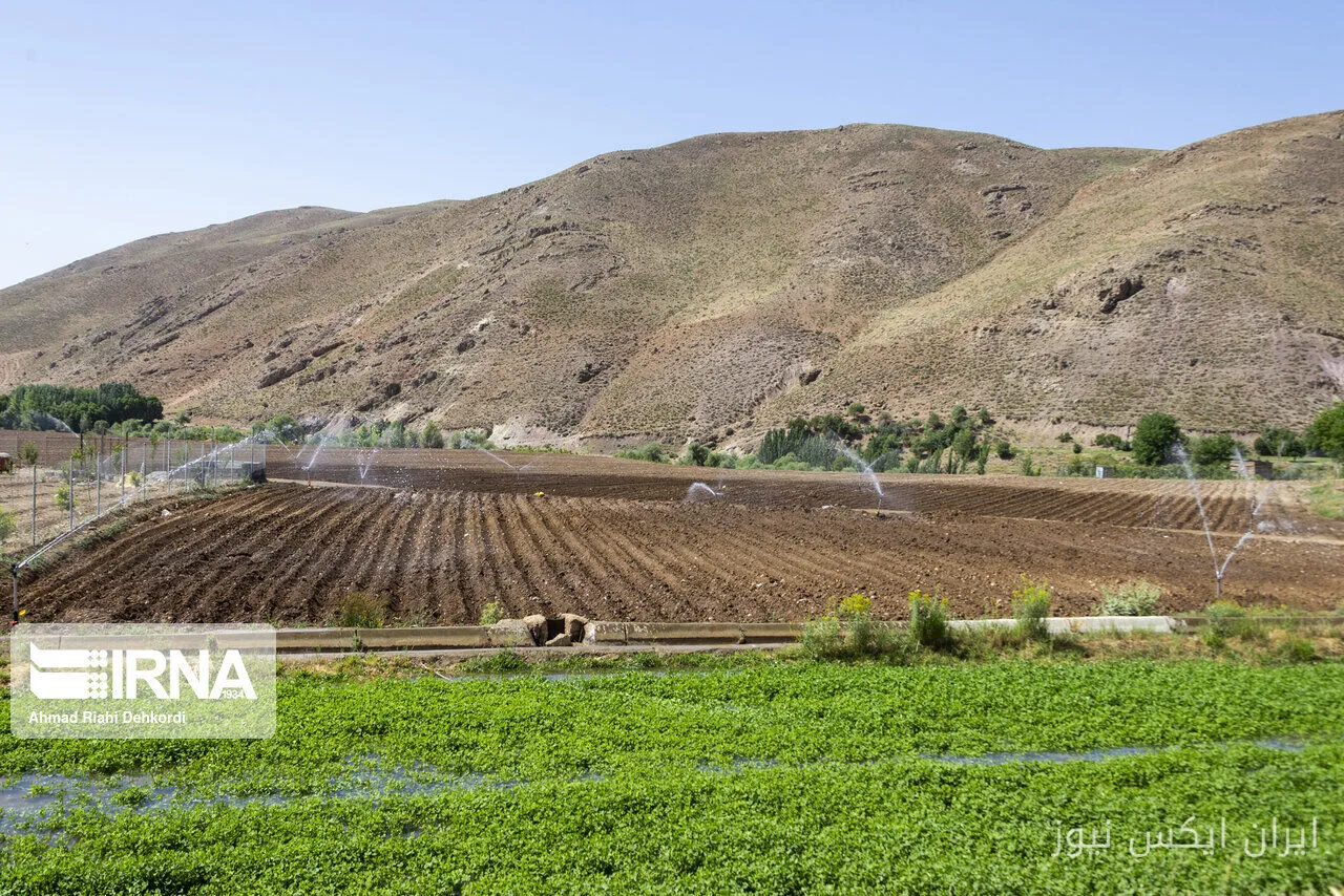 ۱۰ هزار هکتار از زمینهای سامانه گرمسیری ایلام آماده آبیاری است