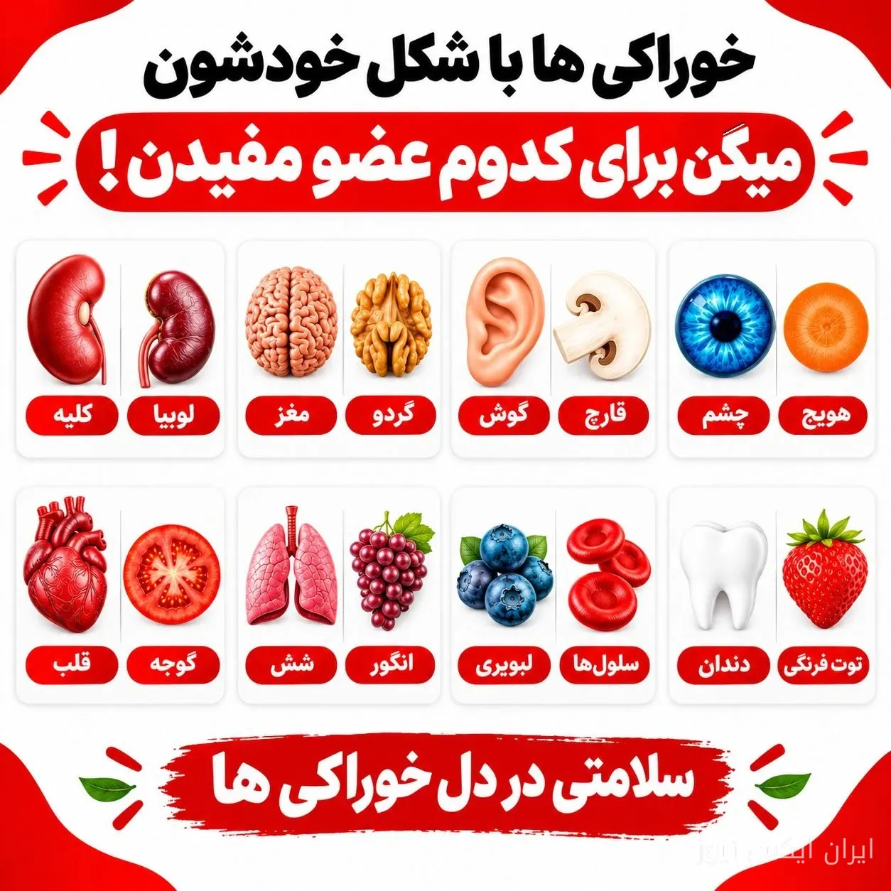 اینفوگرافیک خوراکیها و اعضای بدن منتشر شد
