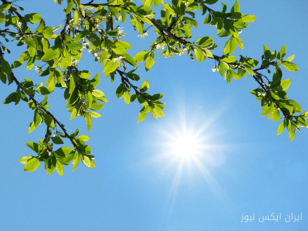 سازمان هواشناسی: آسمان صاف در اغلب مناطق کشور