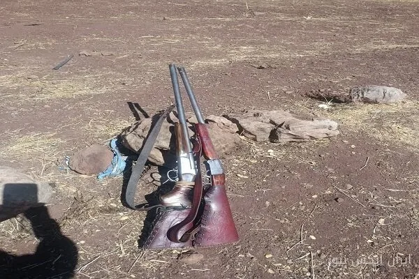 کشف ۵ قبضه اسلحه شکاری از متخلفان زیست‌محیطی در لرستان