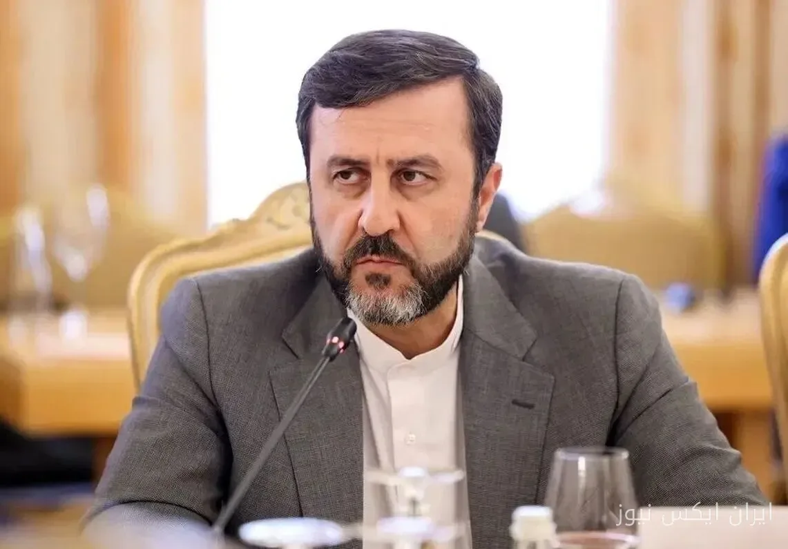 غریب‌آبادی: حمایت قاطع سران بریکس از الحاق ایران به WTO