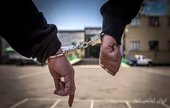 Festnahme eines vorbestraften Diebs in Shahrud und Entdeckung von 29 Diebstählen