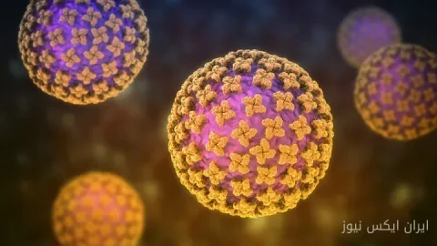 ویروس جدید چینی؛ نیش کنه و خطر آنفلوانزا!