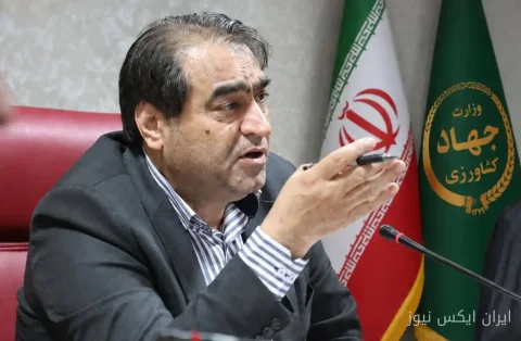 خرید حمایتی مرغ از ۲۳ شهریورماه؛ آیا بحران مرغ پایان می‌یابد؟