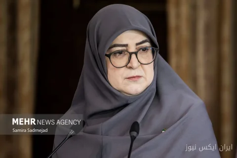 مهاجرانی: تمام توان دولت در مدیریت انرژی به کار رفته است