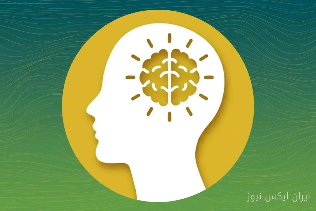 تمرین شناختی بهترین راهکار تقویت حافظه به توصیه دکتر ایوان یانگ
