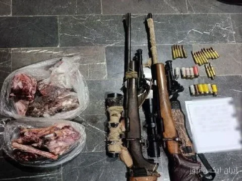 دستگیری شکارچی غیرمجاز با لاشه ۲ راس قوچ و میش در میناب