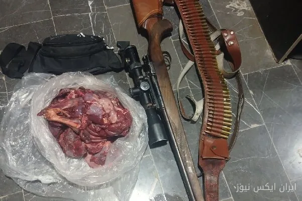 دستگیری متخلف شکار غیرمجاز در میناب؛ یک زنگ خطر برای طبیعت!