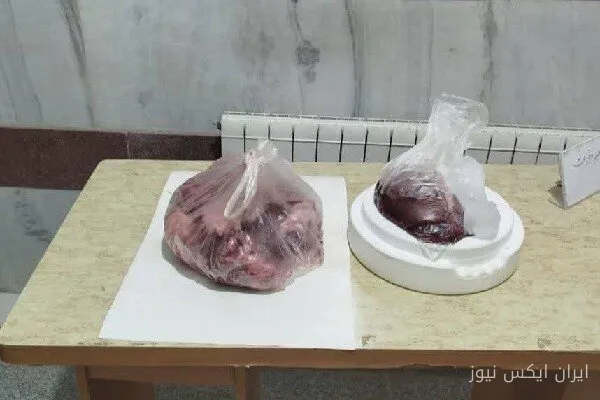 کیوان خسروآبادی: گوشت گراز وحشی در دالاهو کشف شد