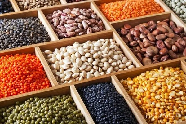 جولیا زومپانو: مواد غذایی گیاهی سرشار از پروتئین را به رژیم غذایی خود اضافه کنید