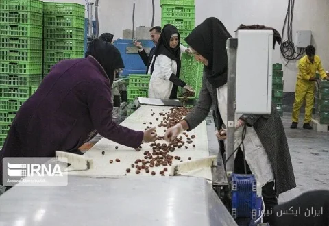 تعاون در اقتصاد: ۲۵ درصد هدف، فقط ۸ درصد تحقق!