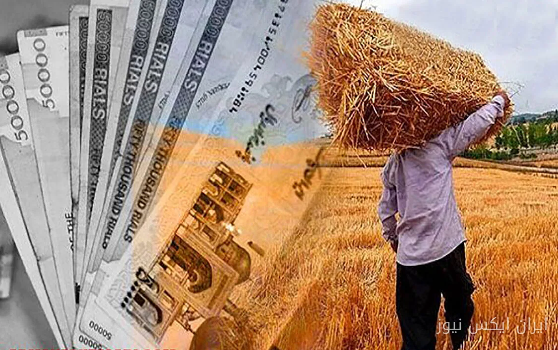 پرداخت ۶۰ درصد از مطالبات گندمکاران خراسان جنوبی: آیا نارضایتیها به پایان میرسد؟