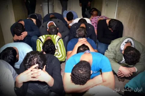 شکار دزدان و آزارگران: دستگیری ۱۱ متهم در فارس