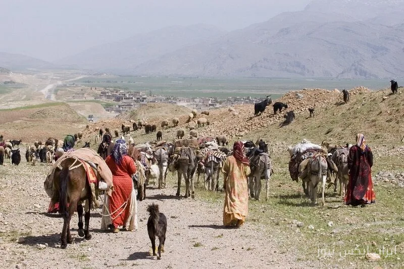 12% Growth in Insured Individuals of the Social Insurance Fund for Farmers in Hamadan