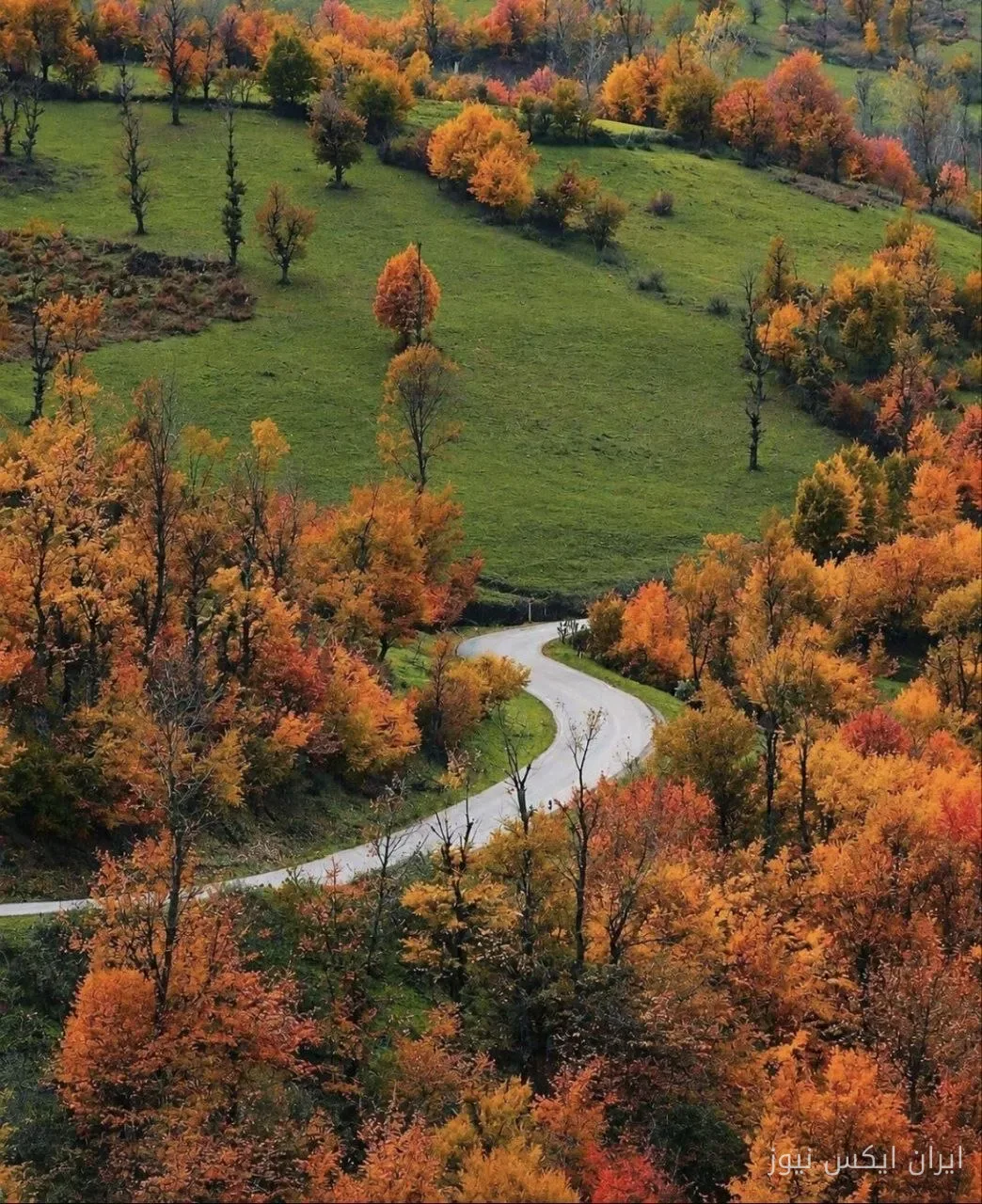 تصویری تماشایی از پاییز در روستای گنبک رودبار گیلان