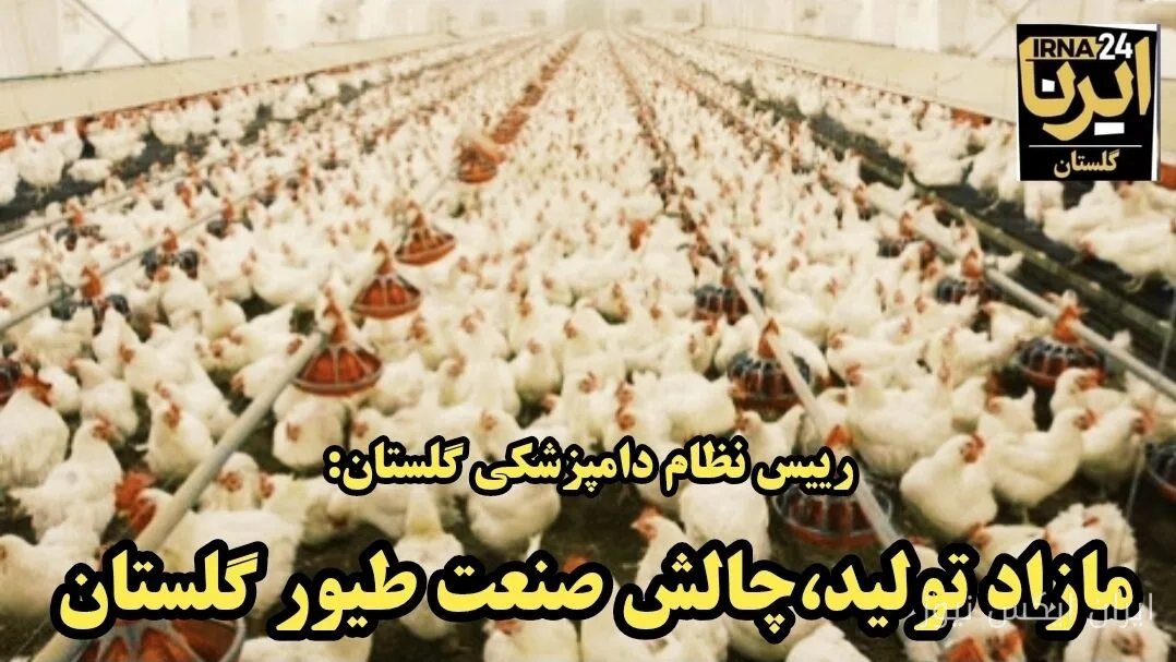 علیرضا یوسفی: مازاد تولید چالش صنعت طیور گلستان است