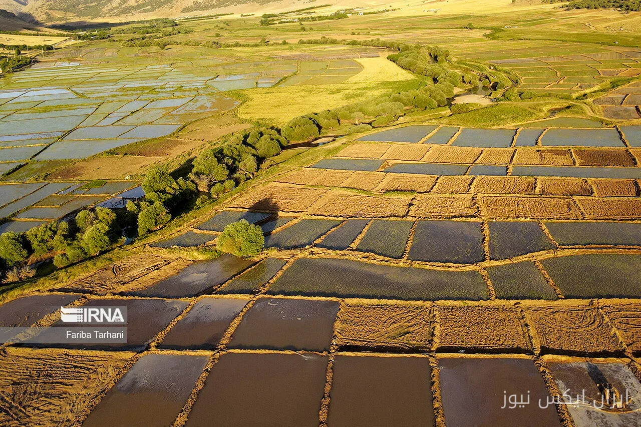 صدور ۲۹۰۱ سند مالکیت برای زمین‌های کشاورزی خراسان‌شمالی